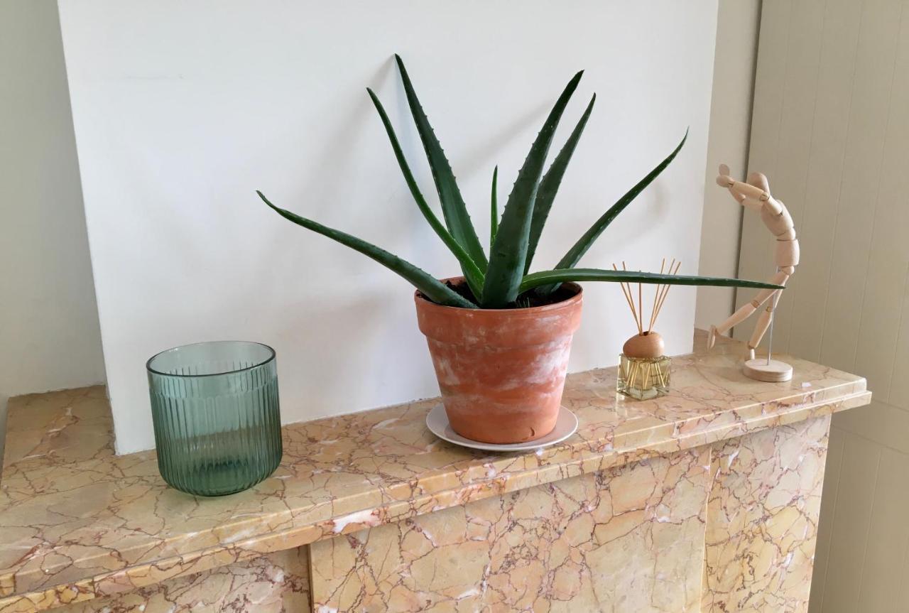 בריסל Calm, Green & Birdsong Near The City Center מראה חיצוני תמונה